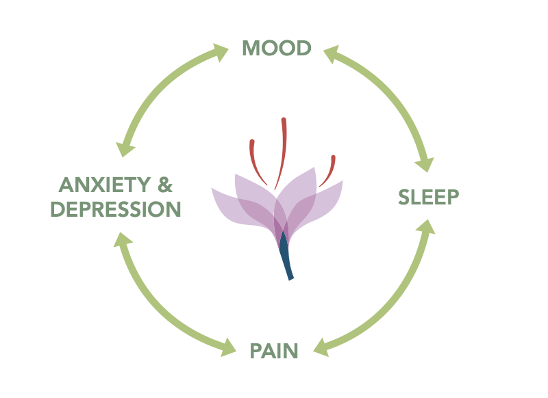 Saffron For the management of mood, sleep and pain FX Medicine